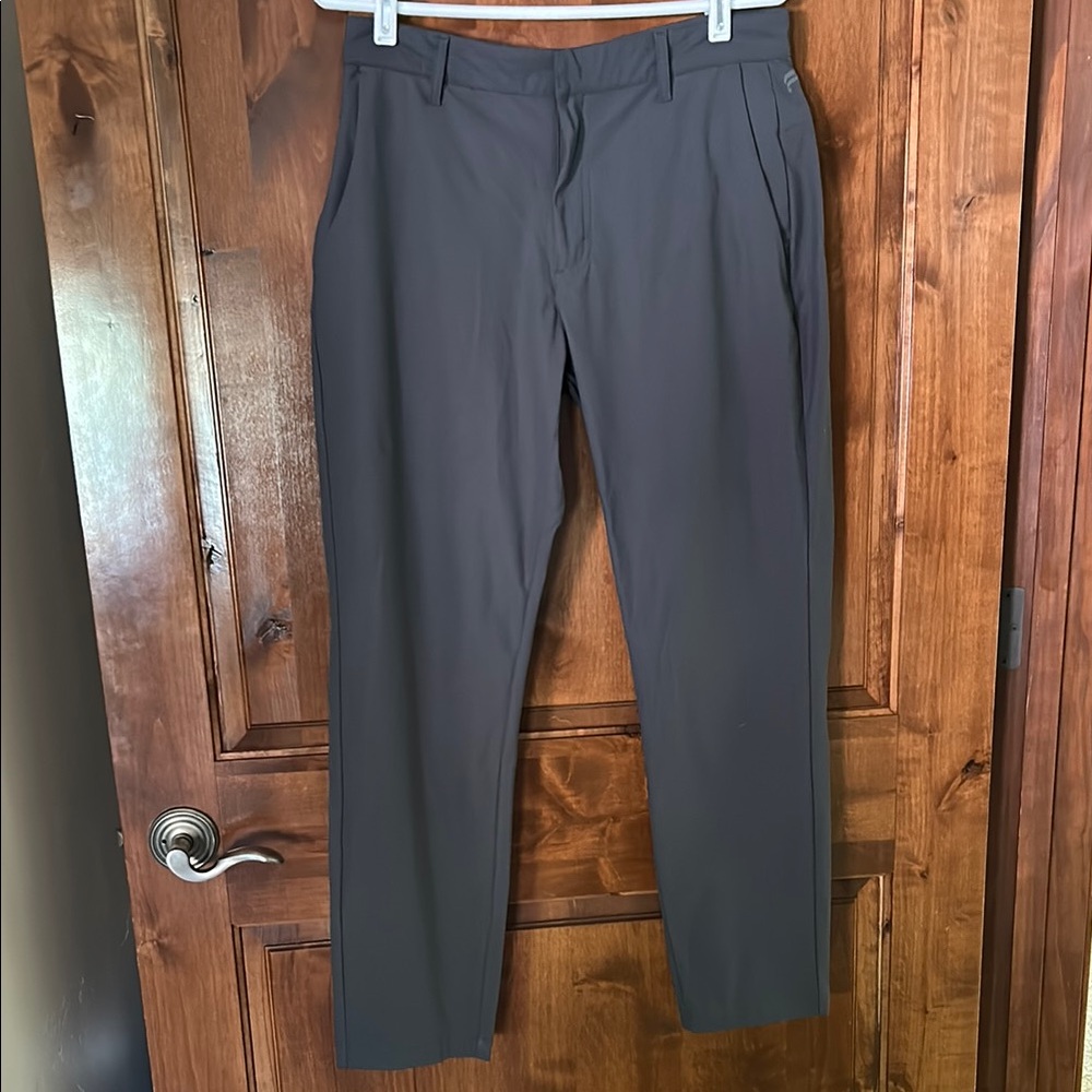 Fabletics Gray Pants - image 1
